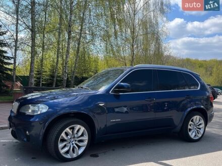 Синий БМВ Х5, объемом двигателя 2.99 л и пробегом 297 тыс. км за 17999 $, фото 1 на Automoto.ua