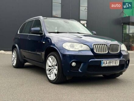 Синий БМВ Х5, объемом двигателя 3 л и пробегом 295 тыс. км за 15900 $, фото 1 на Automoto.ua