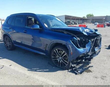 Синий БМВ Х5, объемом двигателя 3 л и пробегом 50 тыс. км за 23914 $, фото 1 на Automoto.ua