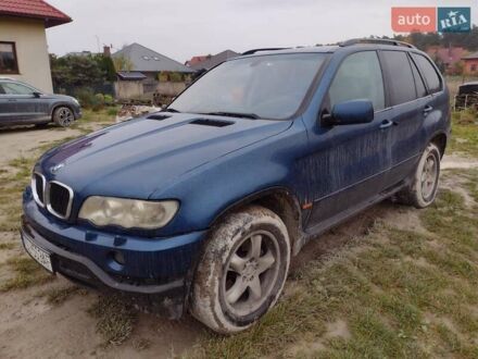 БМВ Х5 2001 у Ковель на Automoto.ua Зелений БМВ Х5, об'ємом двигуна 3 л та пробігом 352 тис. км за 4999 $, фото 1 на Automoto.ua