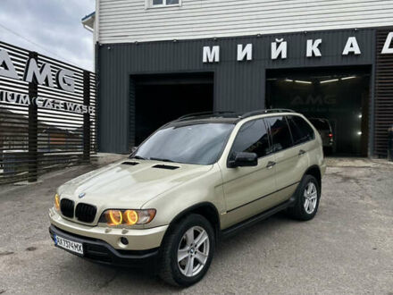 БМВ Х5 2001 у Сумах на Automoto.ua Зелений БМВ Х5, об'ємом двигуна 2.93 л та пробігом 258 тис. км за 8450 $, фото 1 на Automoto.ua