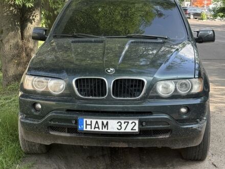 БМВ Х5 2002 в Житомире на Automoto.ua Зеленый БМВ Х5, объемом двигателя 3 л и пробегом 318 тыс. км за 4700 $, фото 1 на Automoto.ua