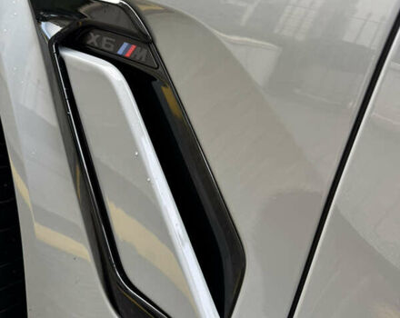 Серый БМВ Х6 М, объемом двигателя 4.39 л и пробегом 7 тыс. км за 167000 $, фото 17 на Automoto.ua