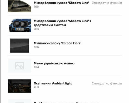 Сірий БМВ Х6, об'ємом двигуна 3 л та пробігом 90 тис. км за 98000 $, фото 45 на Automoto.ua