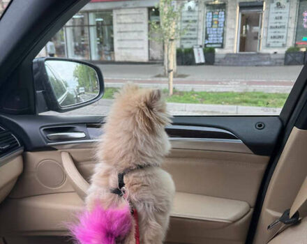 Синий БМВ Х6, объемом двигателя 3 л и пробегом 145 тыс. км за 17500 $, фото 5 на Automoto.ua