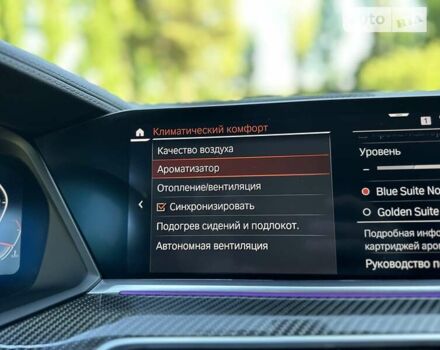 Синий БМВ Х6, объемом двигателя 3 л и пробегом 90 тыс. км за 92000 $, фото 56 на Automoto.ua