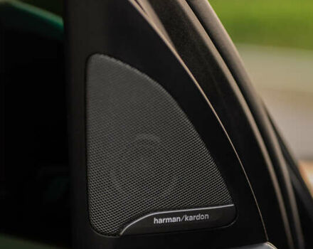 Серый БМВ X7, объемом двигателя 4.4 л и пробегом 78 тыс. км за 67500 $, фото 61 на Automoto.ua