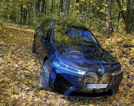 Синій БМВ iX, об'ємом двигуна 0 л та пробігом 12 тис. км за 72000 $, фото 8 на Automoto.ua