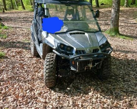 БРП Коммандер, объемом двигателя 1 л и пробегом 10 тыс. км за 9000 $, фото 1 на Automoto.ua