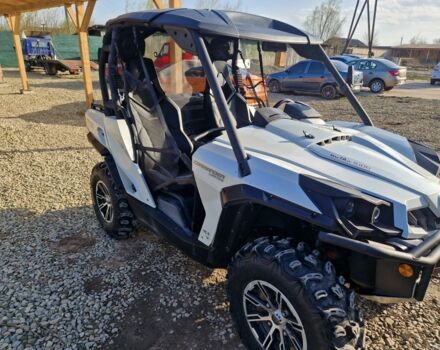 БРП Коммандер, объемом двигателя 1 л и пробегом 0 тыс. км за 9500 $, фото 3 на Automoto.ua