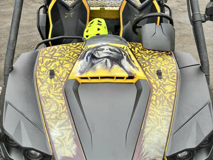 БРП Коммандер, объемом двигателя 0 л и пробегом 11 тыс. км за 9600 $, фото 1 на Automoto.ua