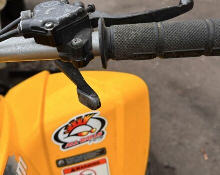 БРП Другая, объемом двигателя 90 л и пробегом 0 тыс. км за 2000 $, фото 5 на Automoto.ua