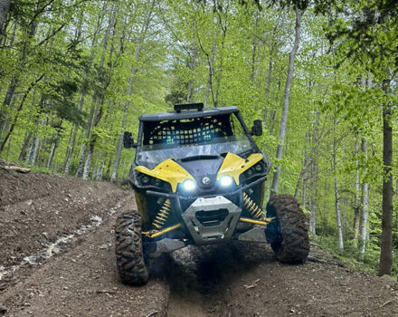 БРП Маверик, объемом двигателя 0.98 л и пробегом 3 тыс. км за 9999 $, фото 1 на Automoto.ua