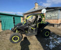 БРП Маверик, объемом двигателя 1 л и пробегом 9 тыс. км за 10600 $, фото 4 на Automoto.ua