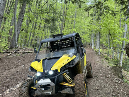 БРП Маверик, объемом двигателя 0.98 л и пробегом 3 тыс. км за 9999 $, фото 1 на Automoto.ua