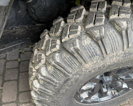 БРП Трекстер, об'ємом двигуна 0 л та пробігом 3 тис. км за 22000 $, фото 14 на Automoto.ua