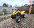 Желтый БРП DS 250, объемом двигателя 0 л и пробегом 1 тыс. км за 3500 $, фото 1 на Automoto.ua