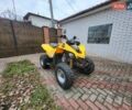 Желтый БРП DS 250, объемом двигателя 0 л и пробегом 1 тыс. км за 3500 $, фото 11 на Automoto.ua