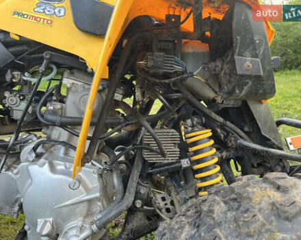 Желтый БРП DS 250, объемом двигателя 0.25 л и пробегом 2 тыс. км за 2431 $, фото 7 на Automoto.ua