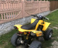 Желтый БРП DS 250, объемом двигателя 0.25 л и пробегом 800 тыс. км за 2800 $, фото 3 на Automoto.ua