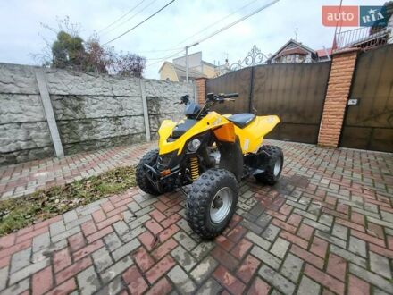 Желтый БРП DS 250, объемом двигателя 0 л и пробегом 1 тыс. км за 3500 $, фото 1 на Automoto.ua