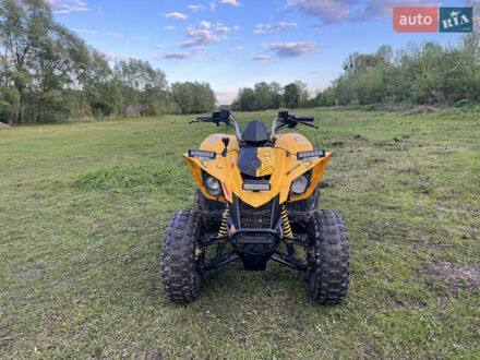 Желтый БРП DS 250, объемом двигателя 0.25 л и пробегом 2 тыс. км за 2431 $, фото 1 на Automoto.ua