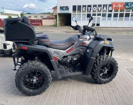 Сірий БРП Inny, об'ємом двигуна 0.9 л та пробігом 1 тис. км за 8800 $, фото 3 на Automoto.ua