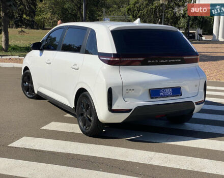 БИД D1 2023 в Одессе на Automoto.ua Белый БИД D1, объемом двигателя 0 л и пробегом 42 тыс. км за 17500 $, фото 4 на Automoto.ua