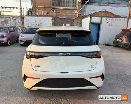 Білий БІД Dolphin, об'ємом двигуна 0 л та пробігом 1 тис. км за 19100 $, фото 4 на Automoto.ua