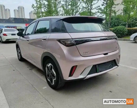купить новое авто БИД Dolphin 2024 года от официального дилера VinAVto БИД фото