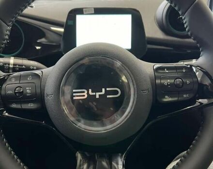БИД Dolphin, объемом двигателя 0 л и пробегом 1 тыс. км за 21500 $, фото 9 на Automoto.ua