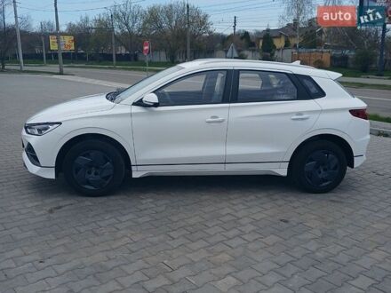 Белый БИД e2, объемом двигателя 0 л и пробегом 1 тыс. км за 18000 $, фото 1 на Automoto.ua
