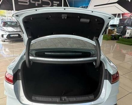 Серый БИД Qin L, объемом двигателя 0 л и пробегом 4 тыс. км за 26000 $, фото 25 на Automoto.ua