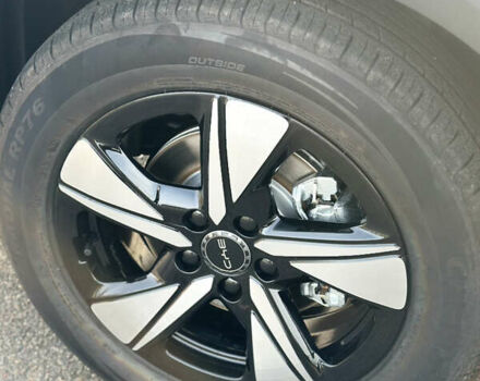 Белый БИД Sea Lion 05, объемом двигателя 0 л и пробегом 1 тыс. км за 24500 $, фото 13 на Automoto.ua