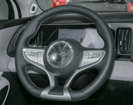 купить новое авто БИД Sea Lion 05 2025 года от официального дилера Автосалон ECODRIVE AUTO Київ БИД фото