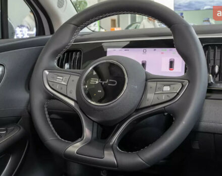 купить новое авто БИД Sea Lion 05 2025 года от официального дилера ELECTRO-MOTORS KROPYVNYTSKYI БИД фото