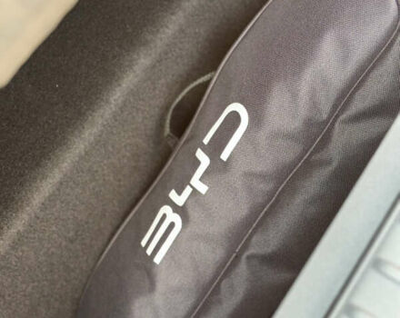 Серый БИД Sea Lion 05, объемом двигателя 0 л и пробегом 1 тыс. км за 23999 $, фото 9 на Automoto.ua