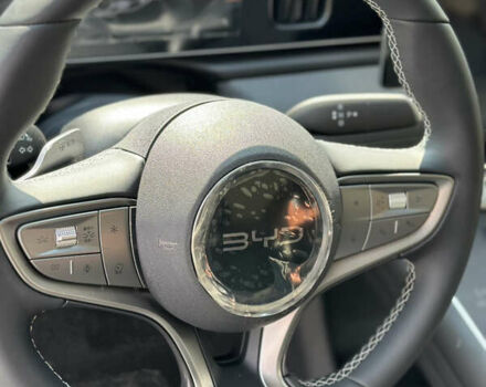 Серый БИД Sea Lion 05, объемом двигателя 0 л и пробегом 1 тыс. км за 23999 $, фото 6 на Automoto.ua