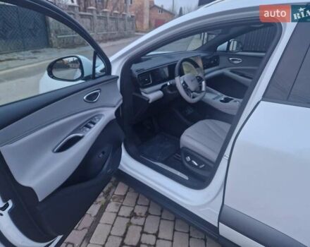 Белый БИД Sea Lion 06, объемом двигателя 0 л и пробегом 1 тыс. км за 29100 $, фото 14 на Automoto.ua