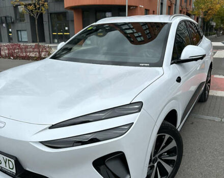 Белый БИД Sea Lion 06, объемом двигателя 0 л и пробегом 1 тыс. км за 25999 $, фото 2 на Automoto.ua