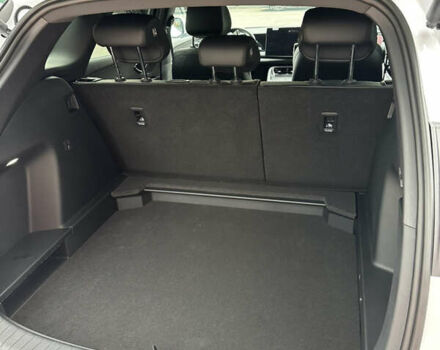 Белый БИД Sea Lion 06, объемом двигателя 0 л и пробегом 1 тыс. км за 25999 $, фото 24 на Automoto.ua