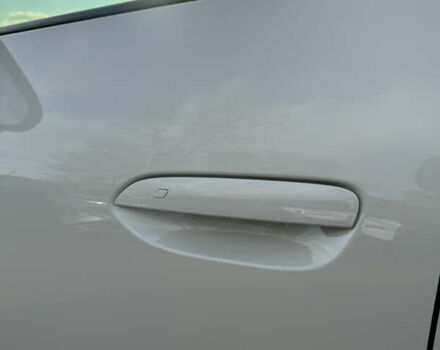 Белый БИД Sea Lion 06, объемом двигателя 0 л и пробегом 1 тыс. км за 28500 $, фото 10 на Automoto.ua