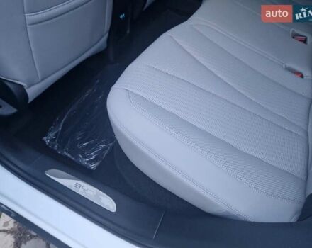 Белый БИД Sea Lion 06, объемом двигателя 0 л и пробегом 1 тыс. км за 29100 $, фото 20 на Automoto.ua