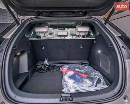 Бежевый БИД Sea Lion 06, объемом двигателя 0 л и пробегом 1 тыс. км за 28700 $, фото 40 на Automoto.ua