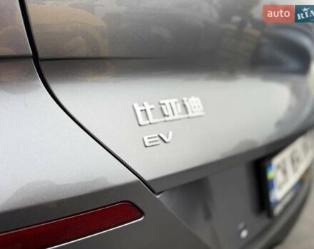 Серый БИД Sea Lion 06, объемом двигателя 0 л и пробегом 1 тыс. км за 28900 $, фото 8 на Automoto.ua