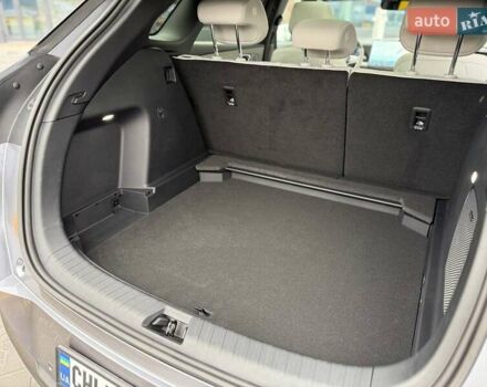 Серый БИД Sea Lion 06, объемом двигателя 0 л и пробегом 1 тыс. км за 28900 $, фото 39 на Automoto.ua