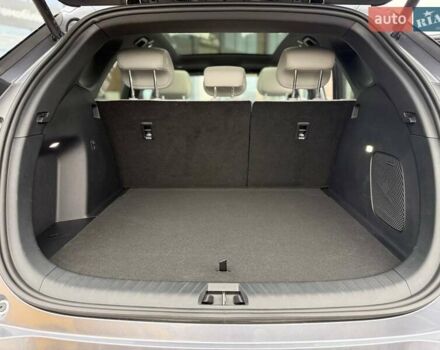 Серый БИД Sea Lion 06, объемом двигателя 0 л и пробегом 1 тыс. км за 28900 $, фото 36 на Automoto.ua