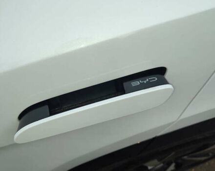 Белый БИД Sea Lion 07, объемом двигателя 0 л и пробегом 2 тыс. км за 31999 $, фото 13 на Automoto.ua