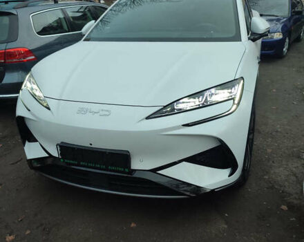 Белый БИД Sea Lion 07, объемом двигателя 0 л и пробегом 2 тыс. км за 31999 $, фото 19 на Automoto.ua