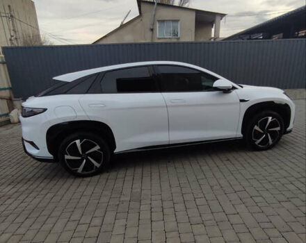 Белый БИД Sea Lion 07, объемом двигателя 0 л и пробегом 2 тыс. км за 31999 $, фото 3 на Automoto.ua